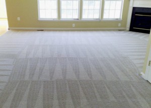Carpet cleaning san diego