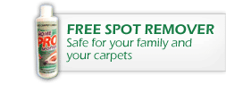 free carpet cleaning stain spot remover